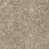 Sliver Quartzite
